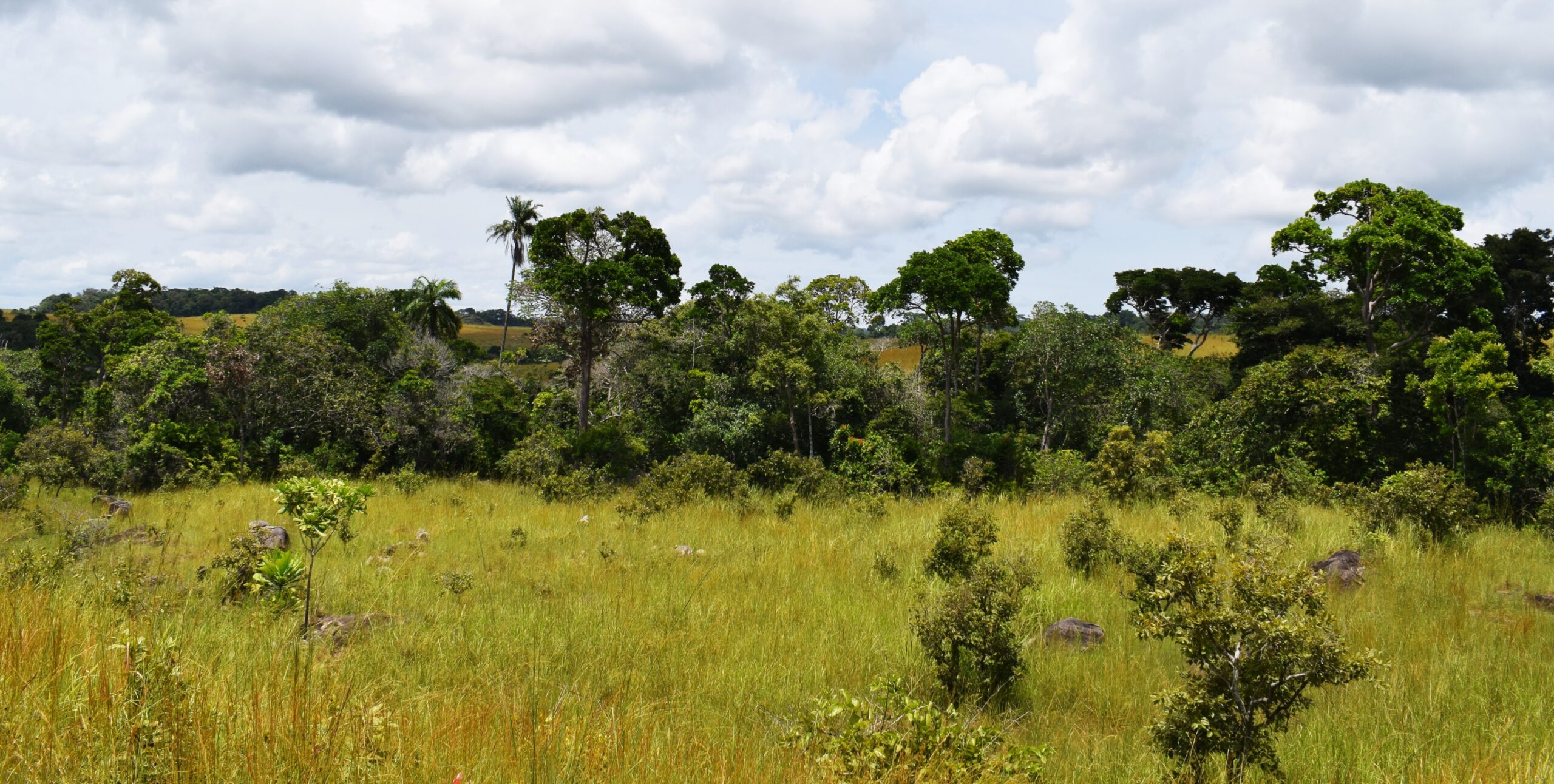 Lope National Park - Gabon - A. Cardoso (6)